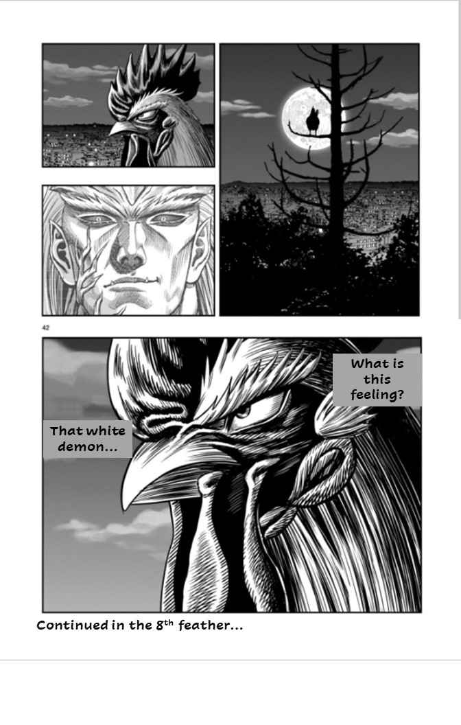 41