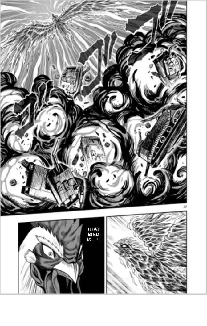 36
