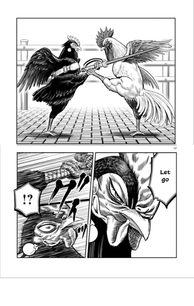 17