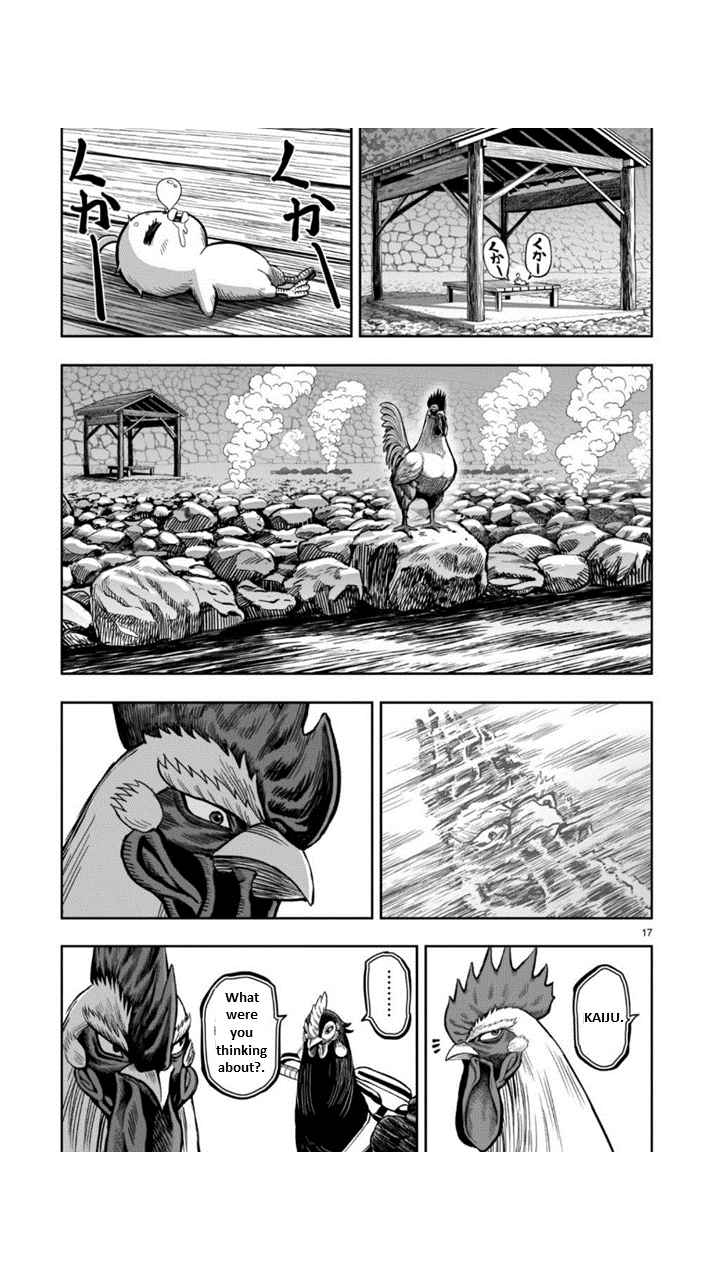17