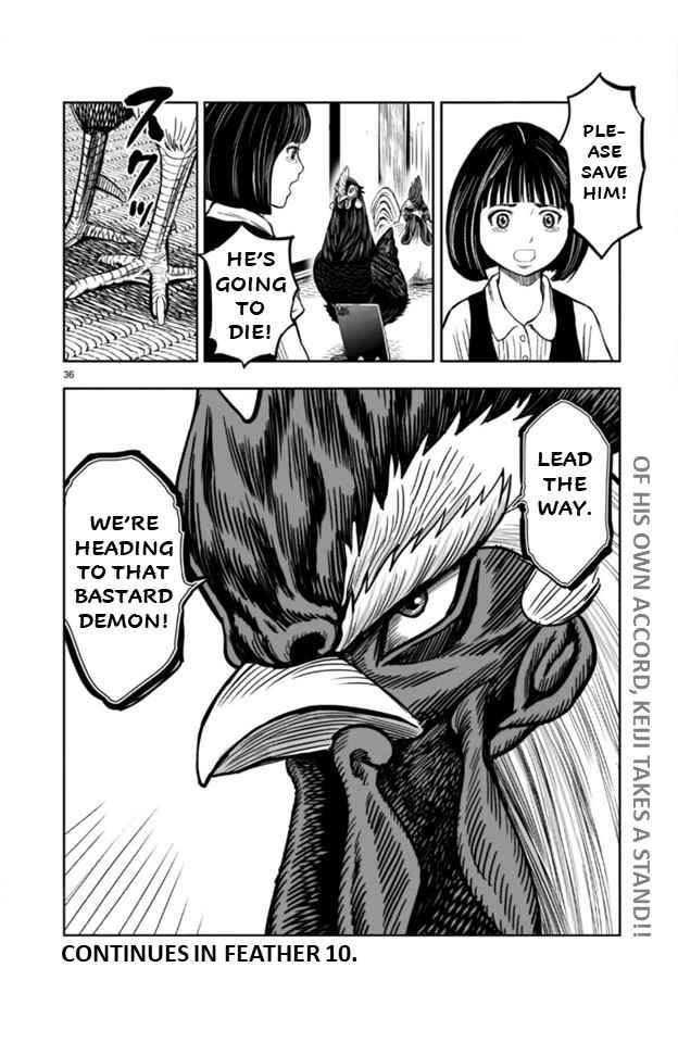 36