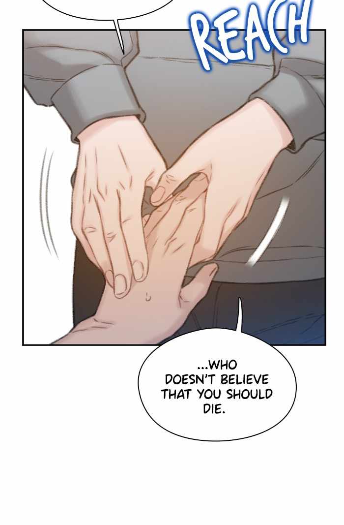 81