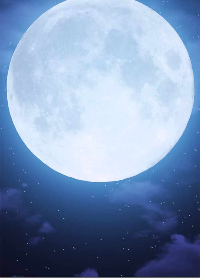 223