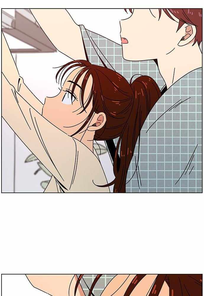 66