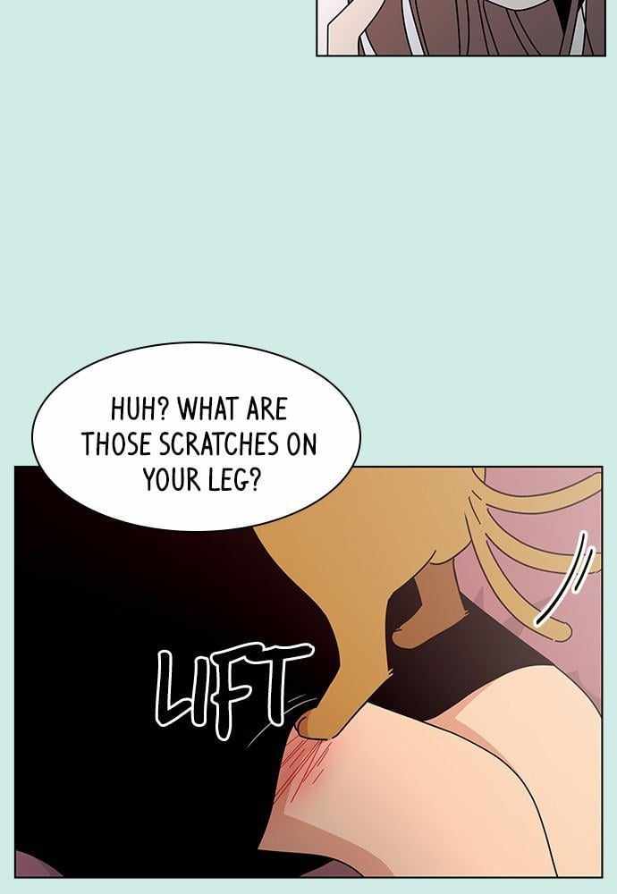 66