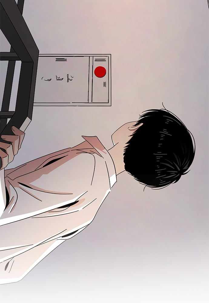 81