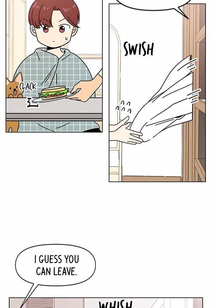 43