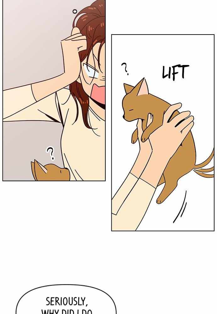 54