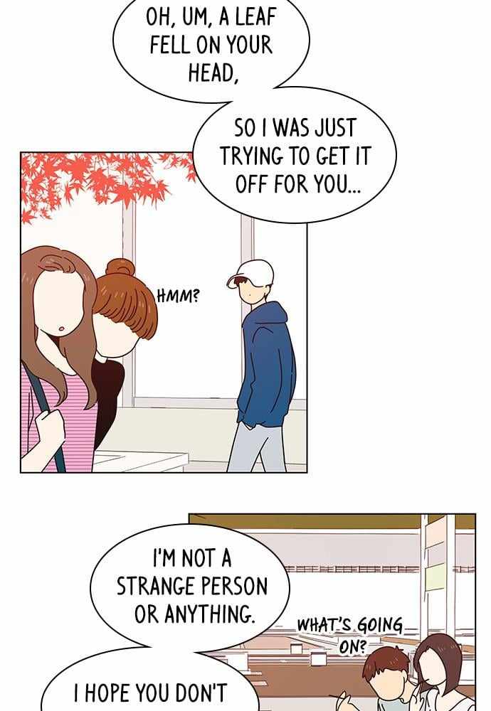 41