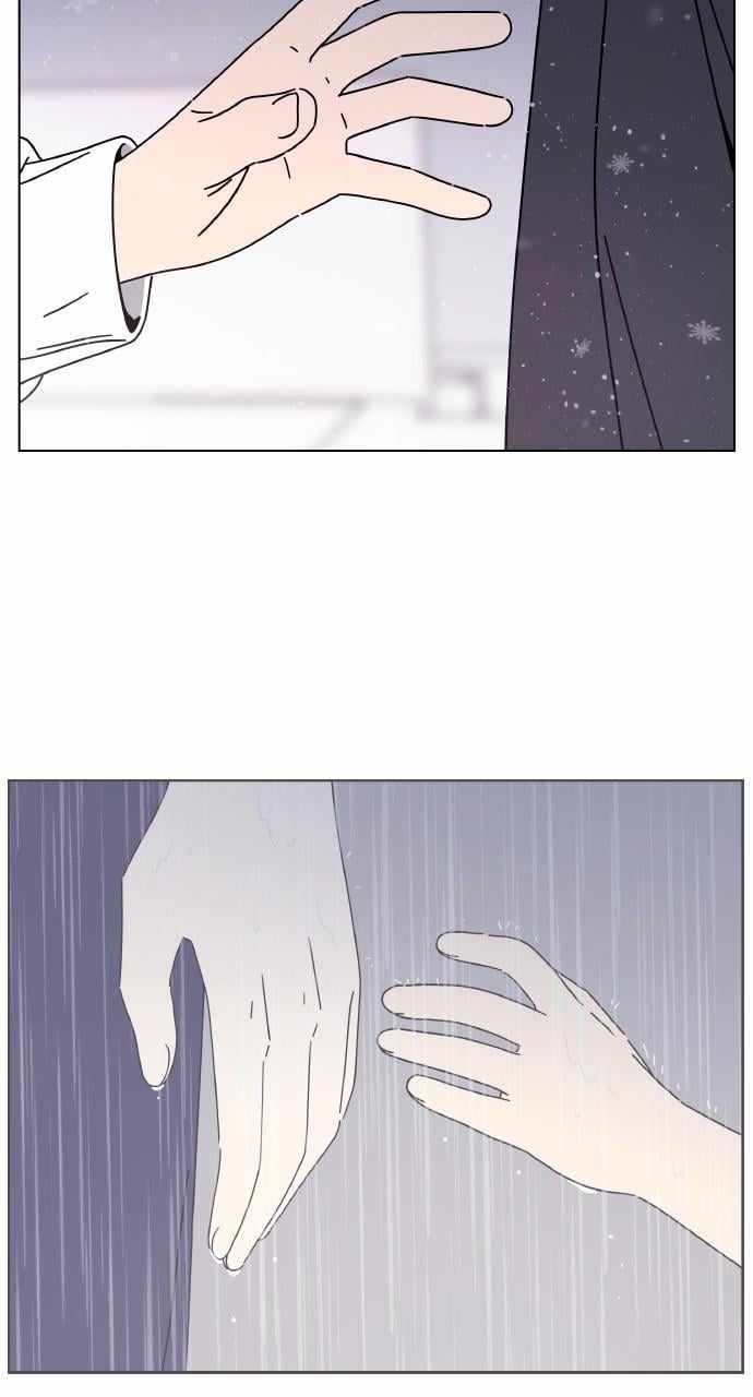 81