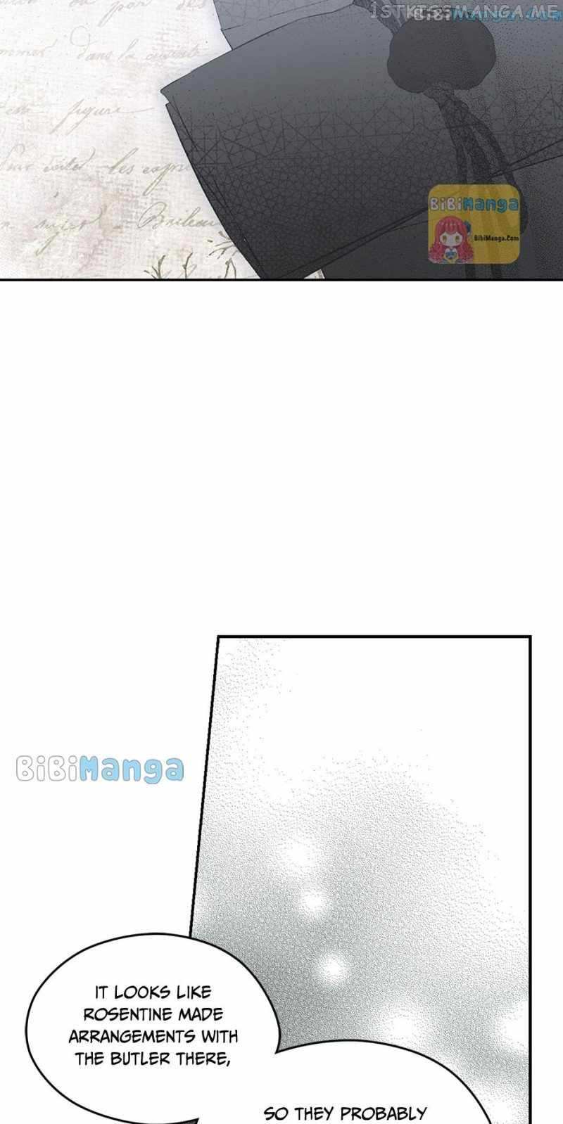 81