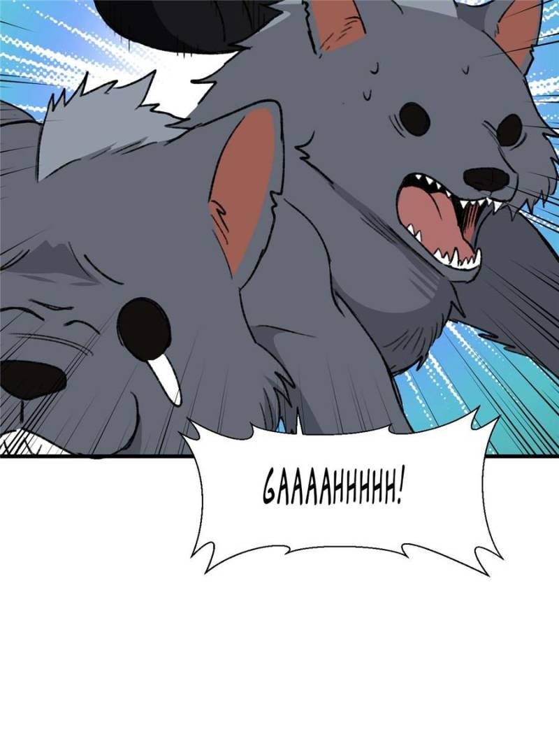 43