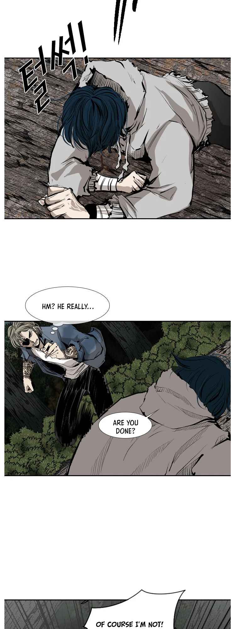 41