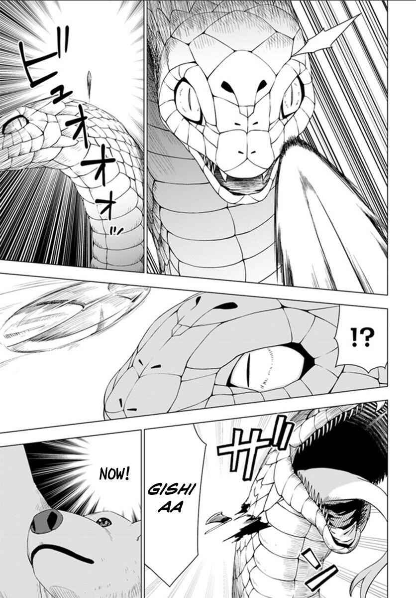 43