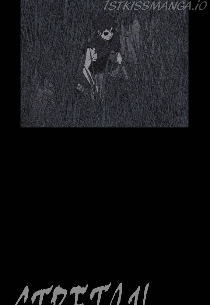 81