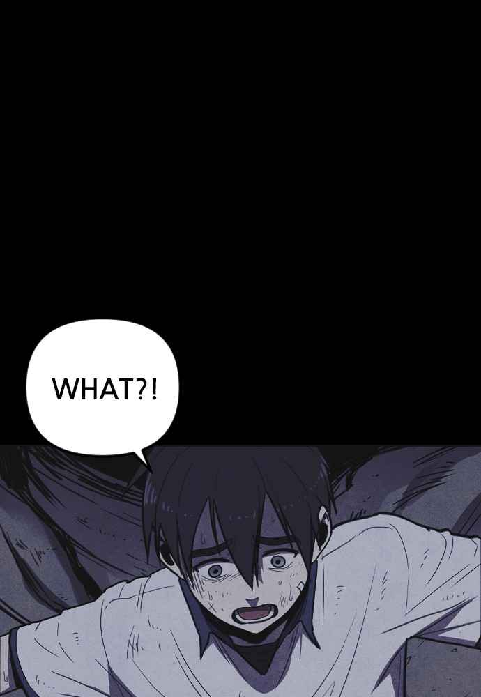 81