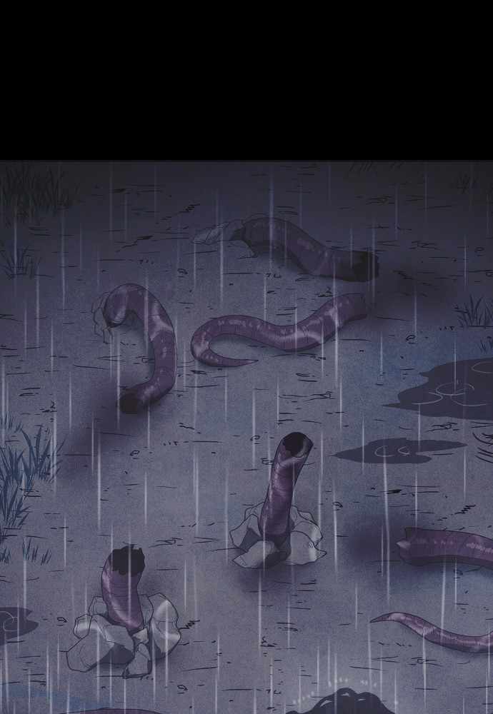 135