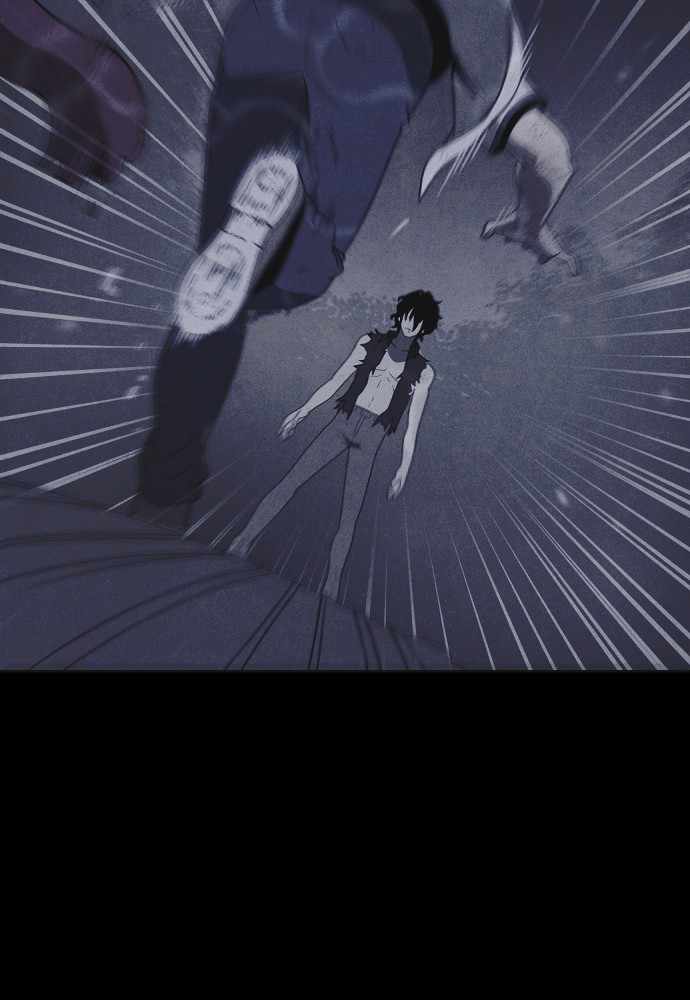81