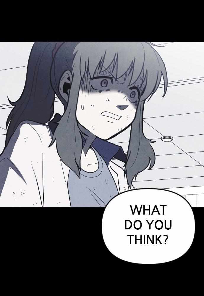 81