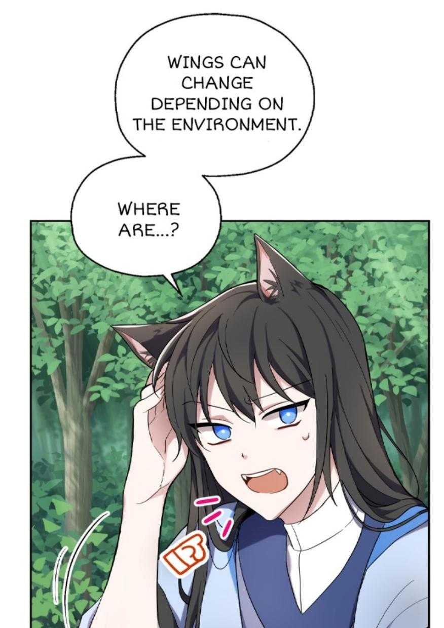 72