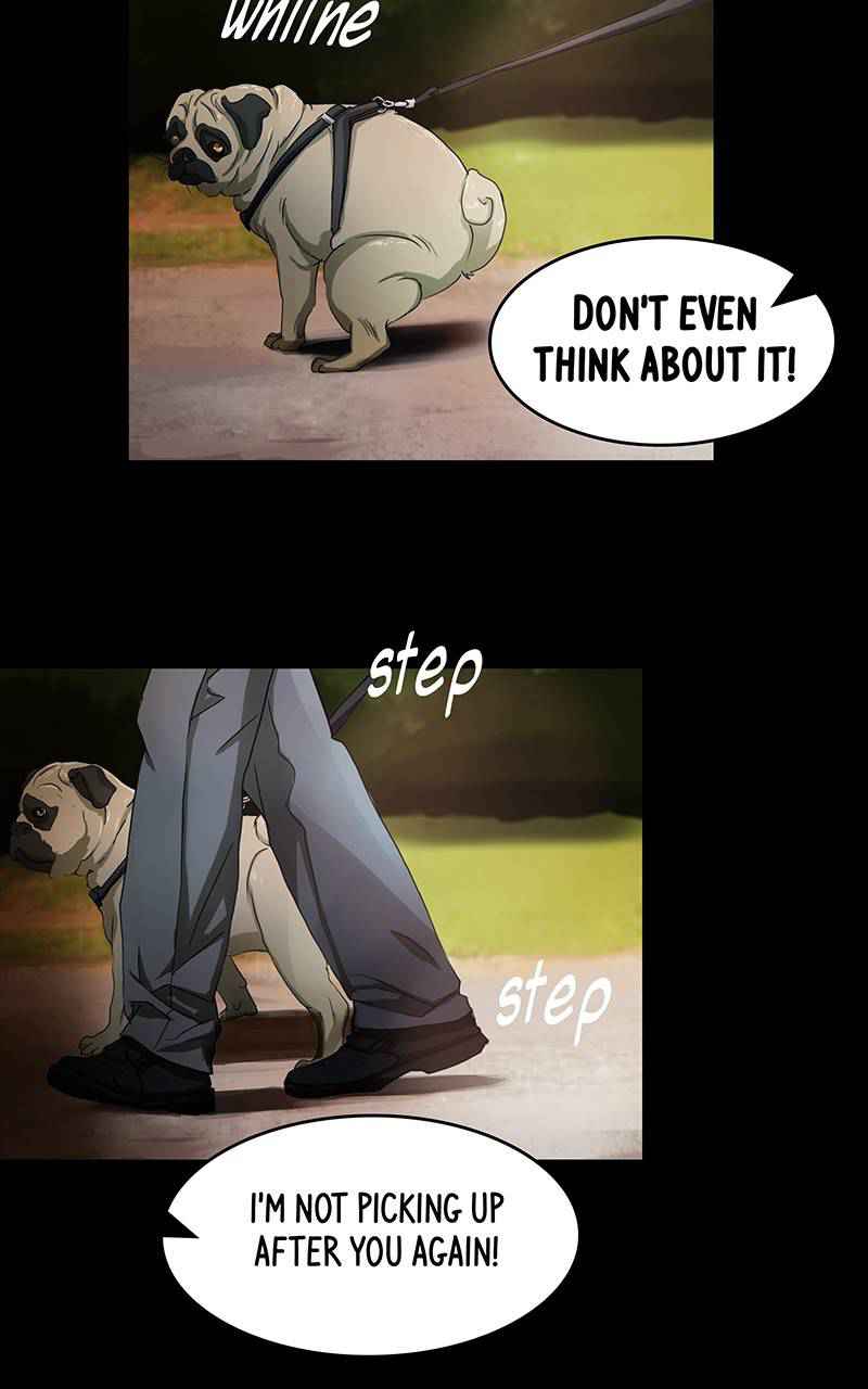 44
