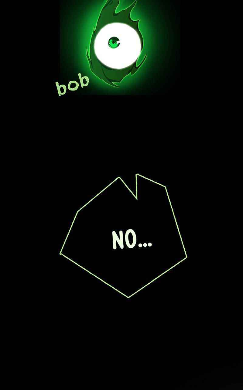 81