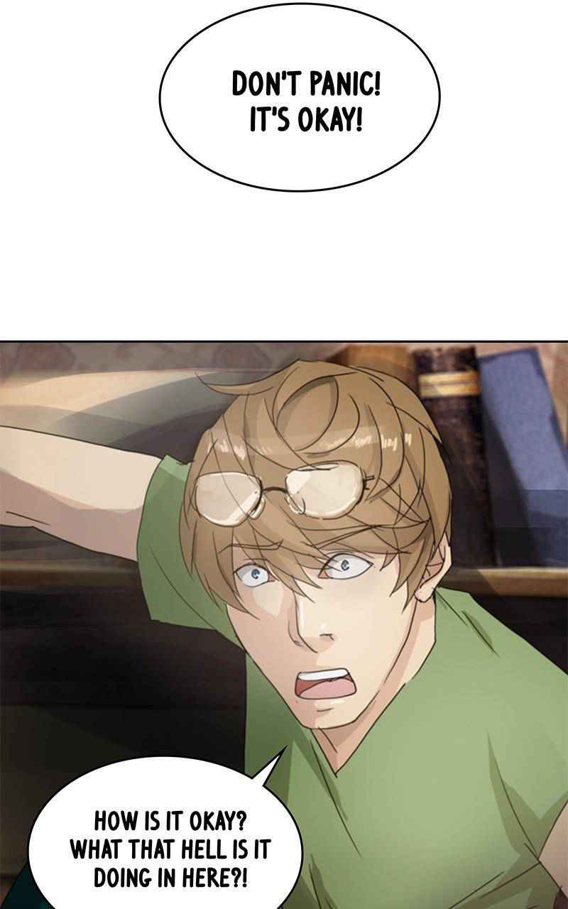 41