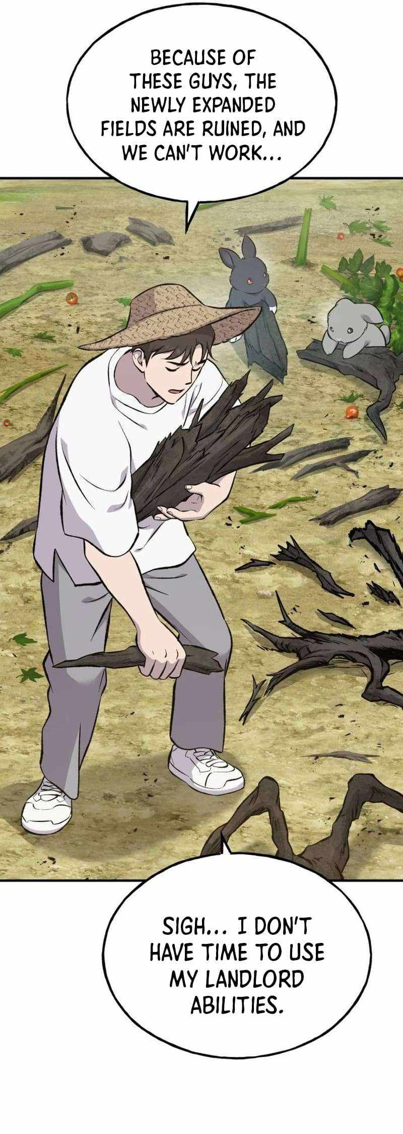 31