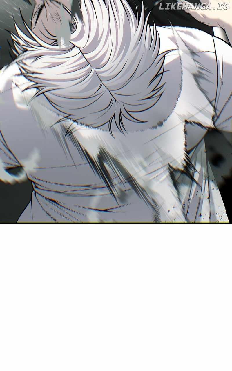 81