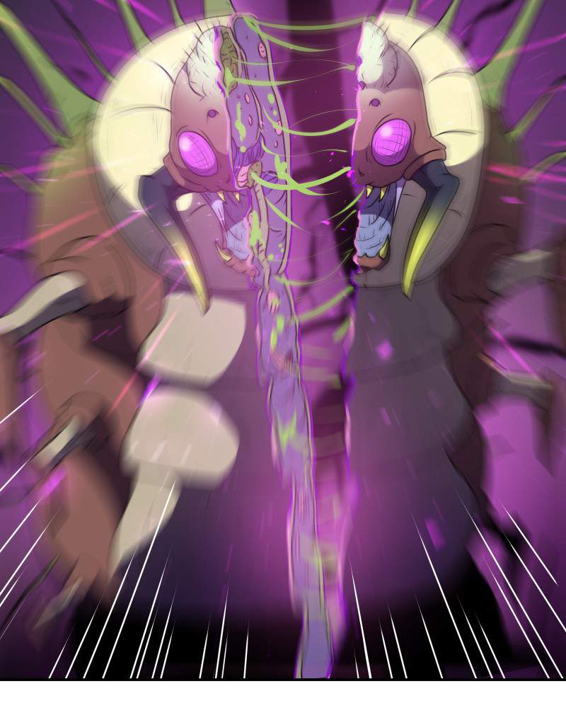 34