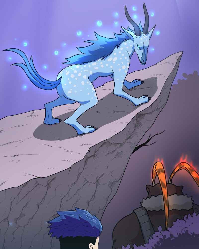 41