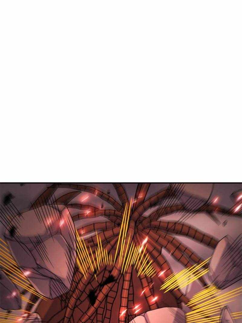 81