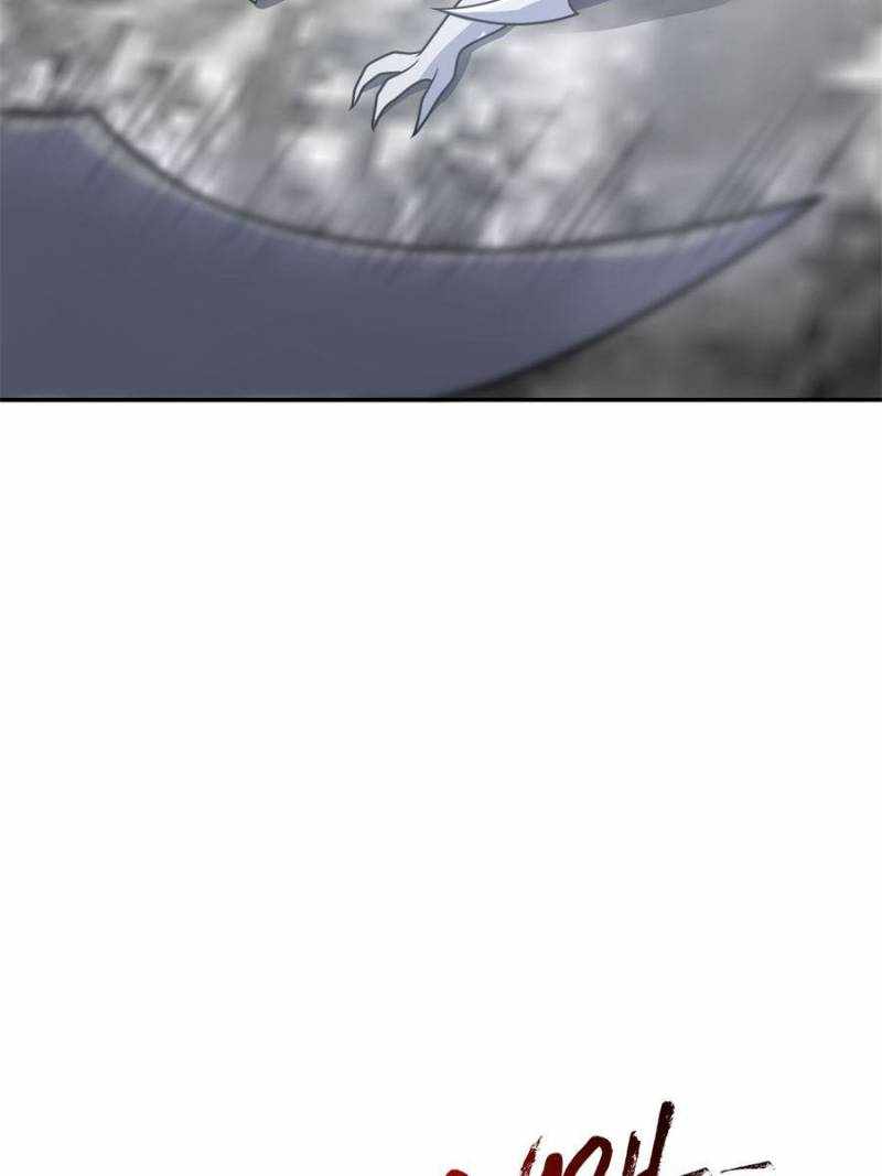 81