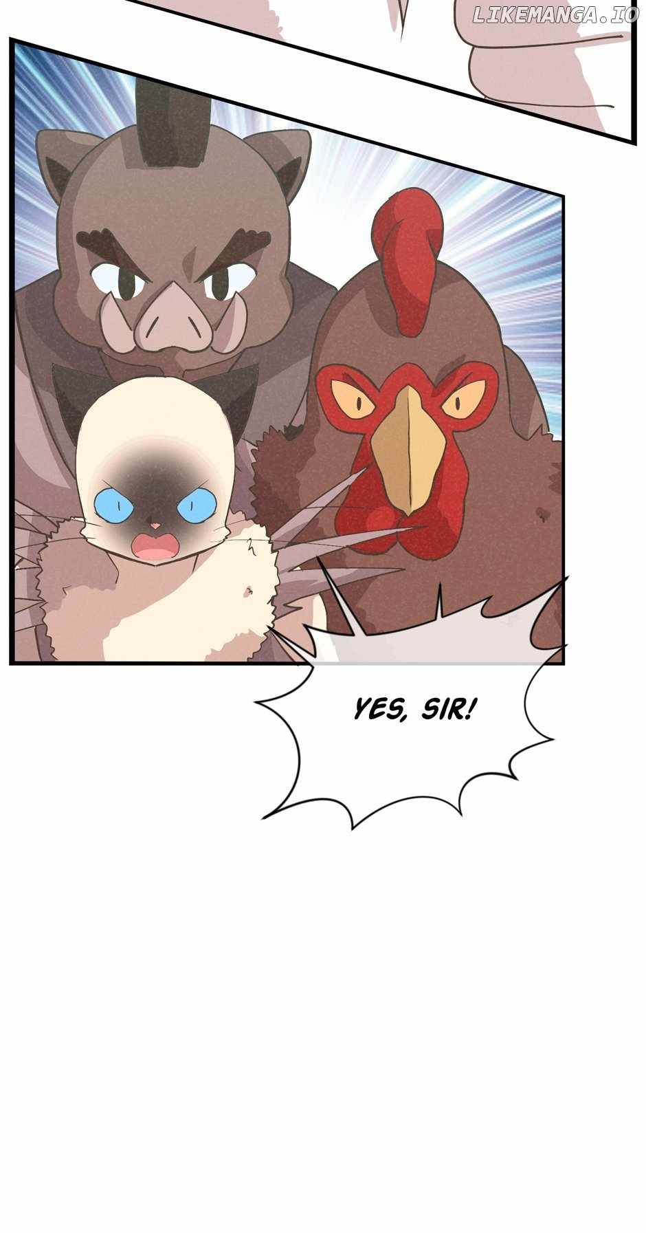 65