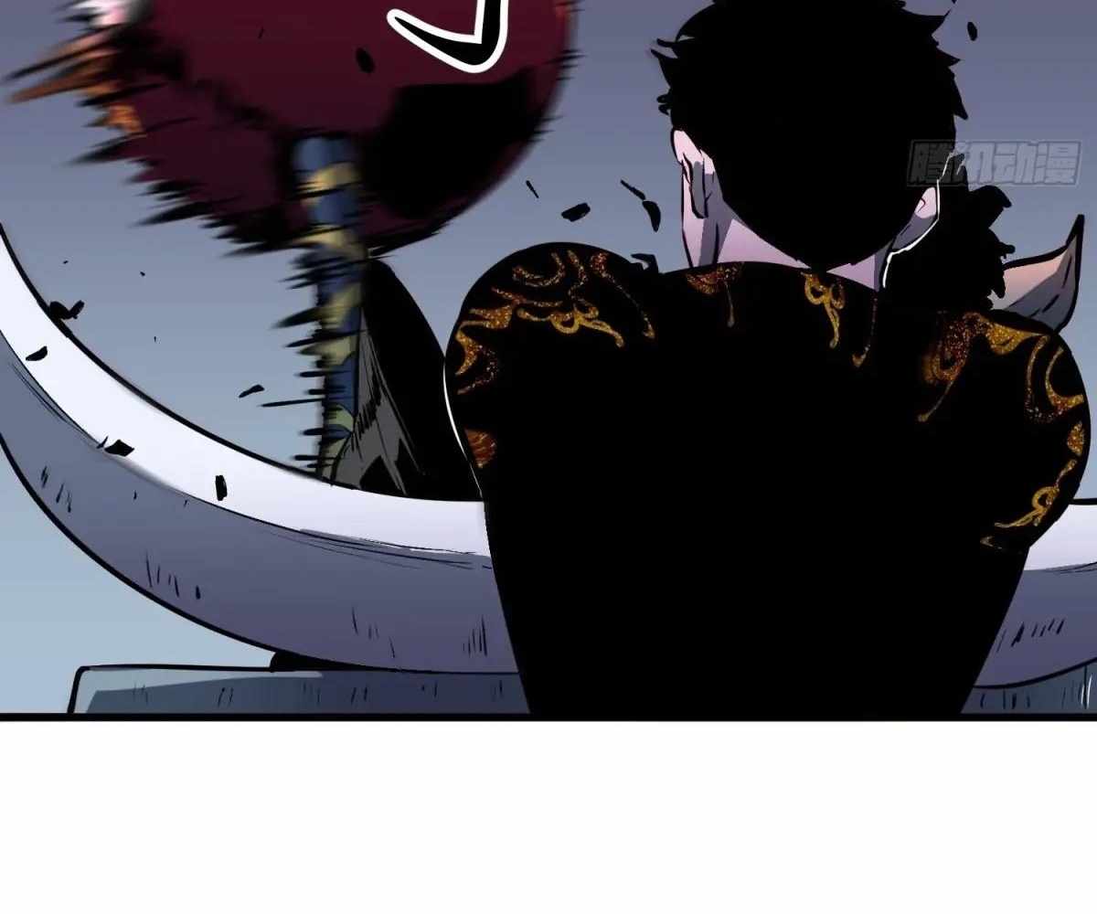 81
