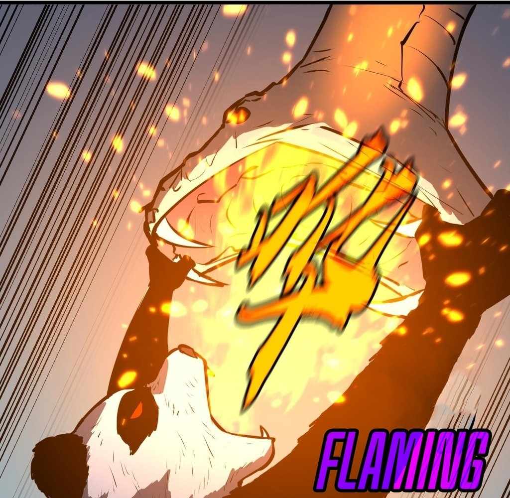 66