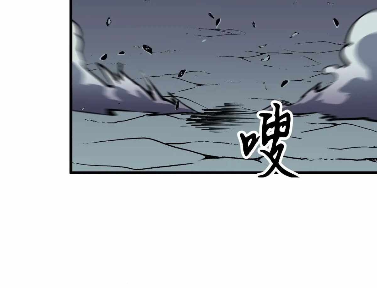 81