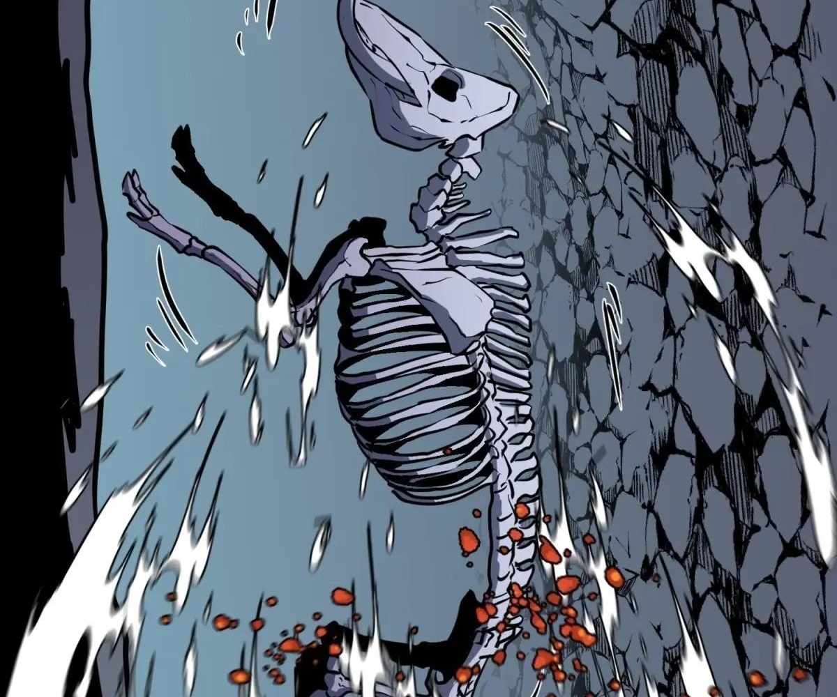 54