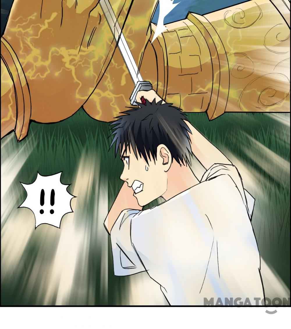 41