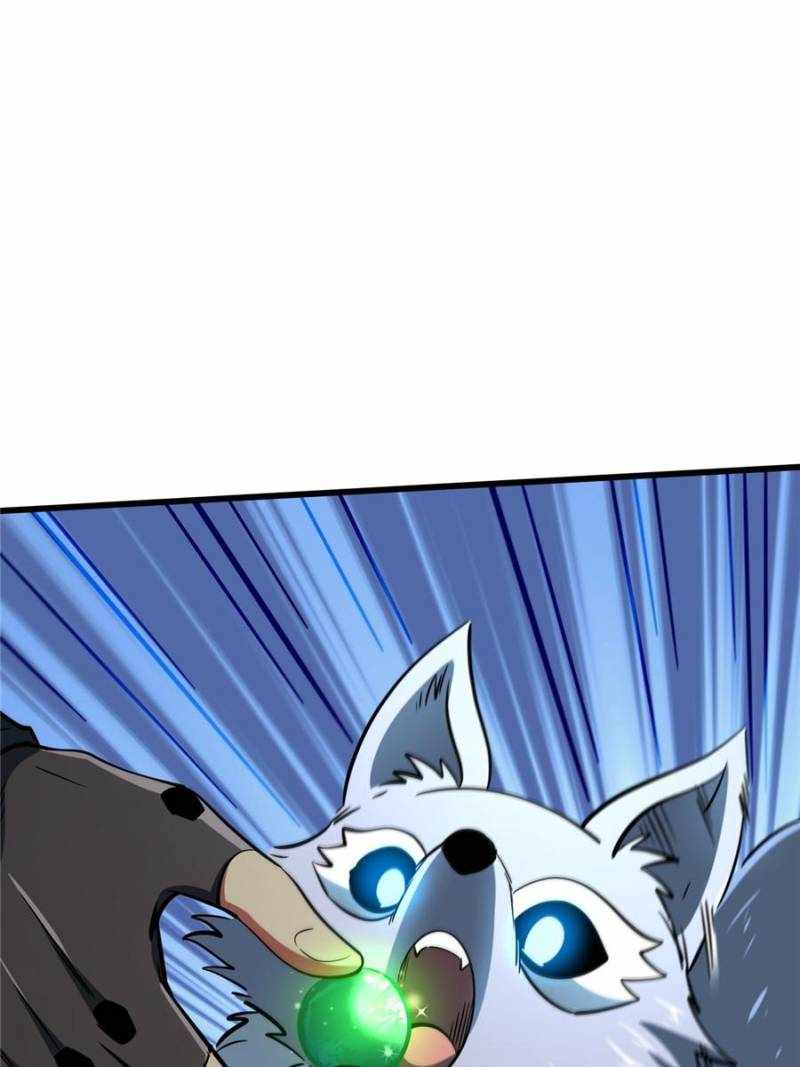 80