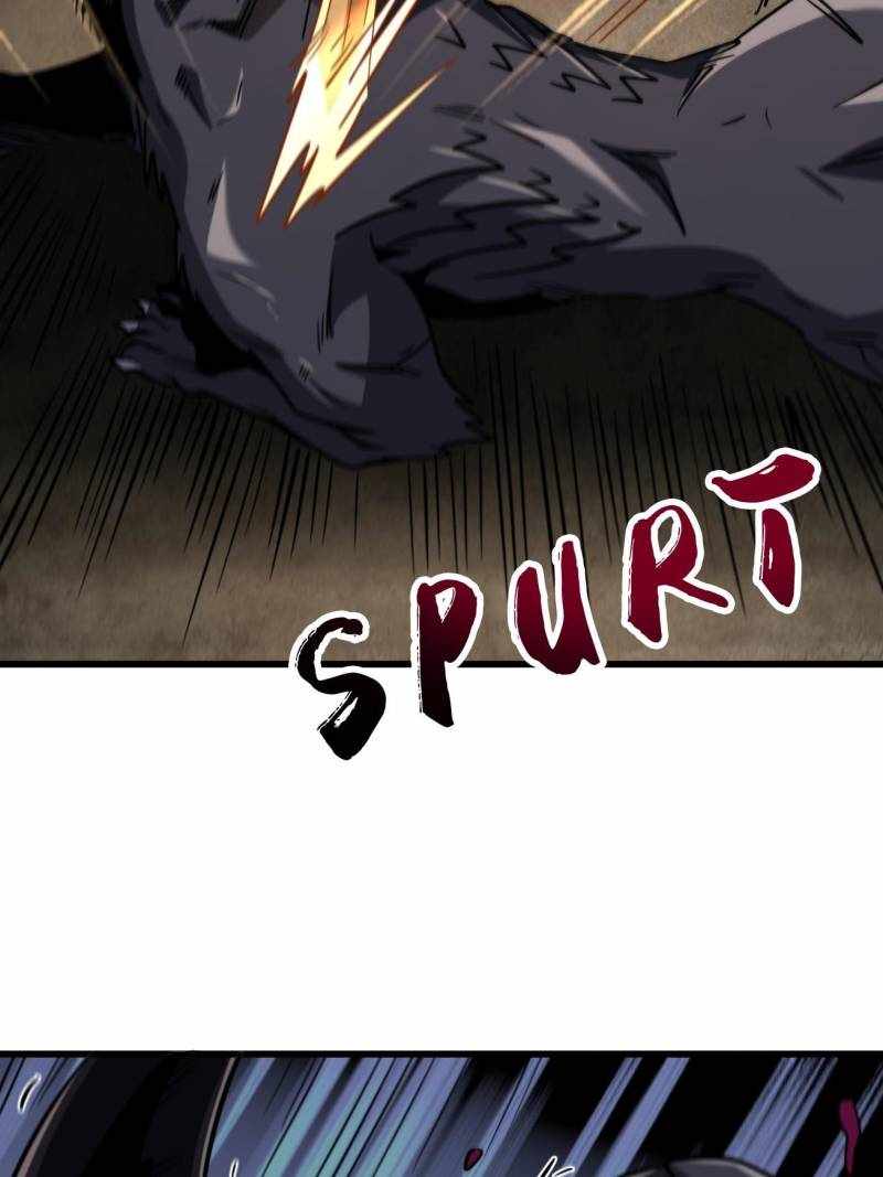 41