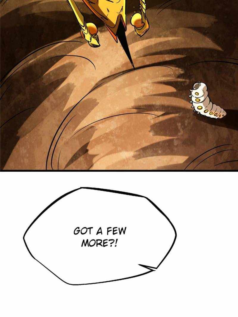 66