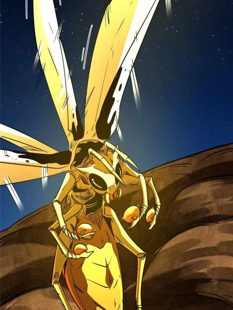 65