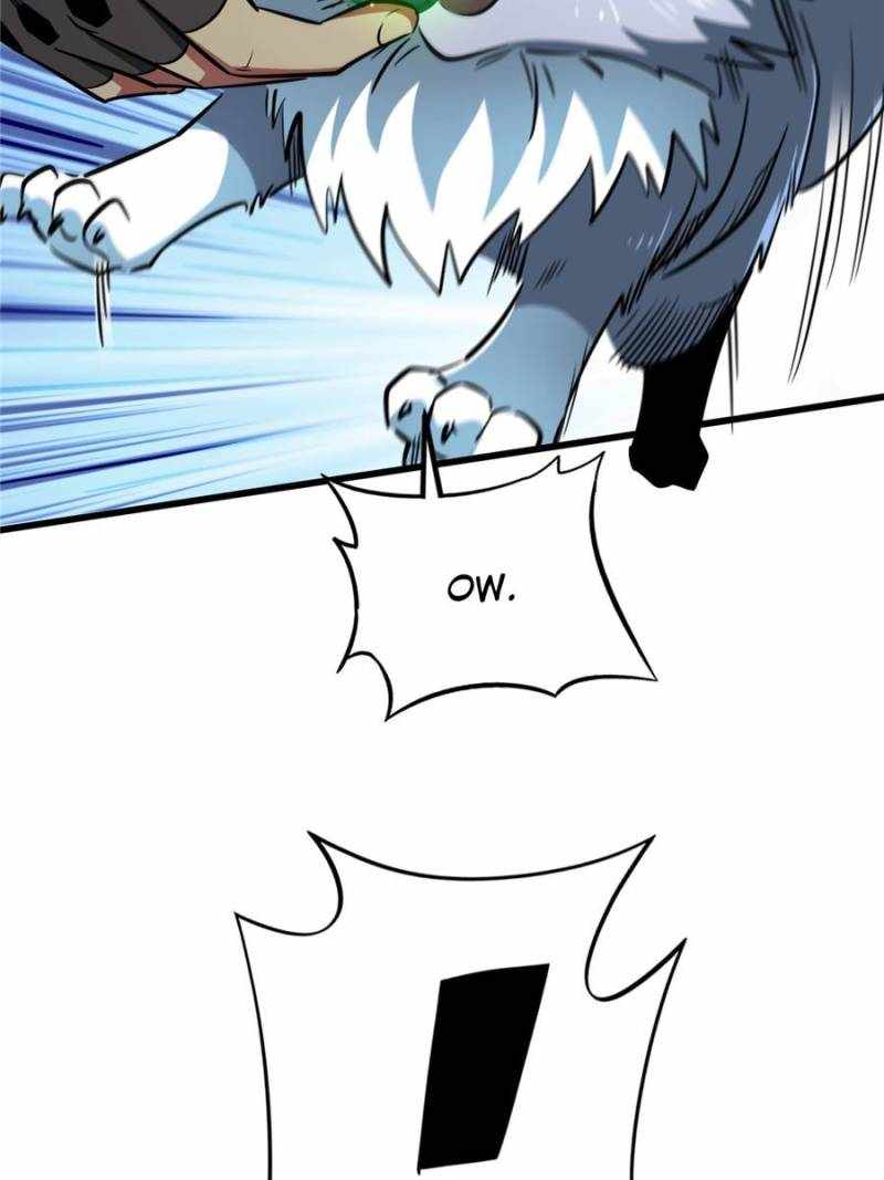 81