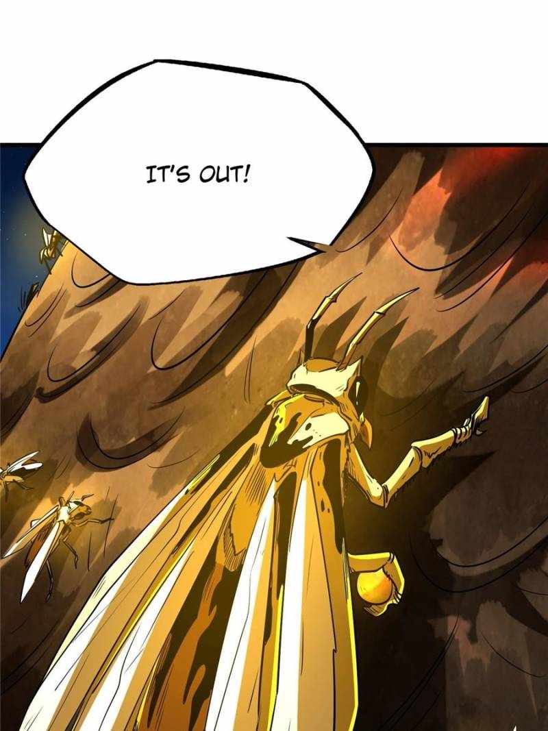 47