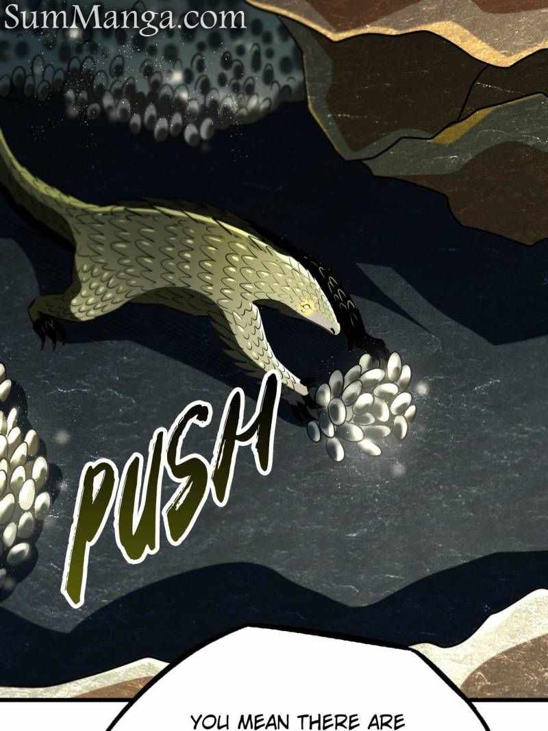 66