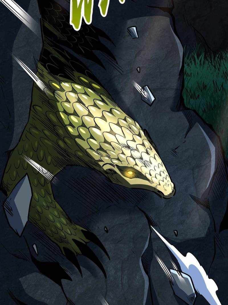 51