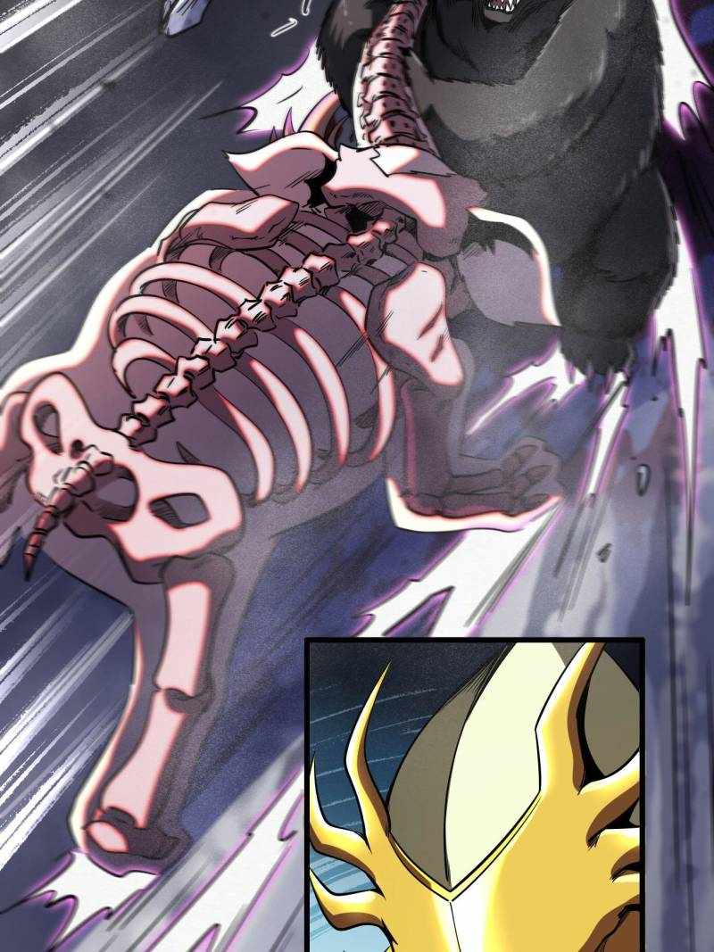55