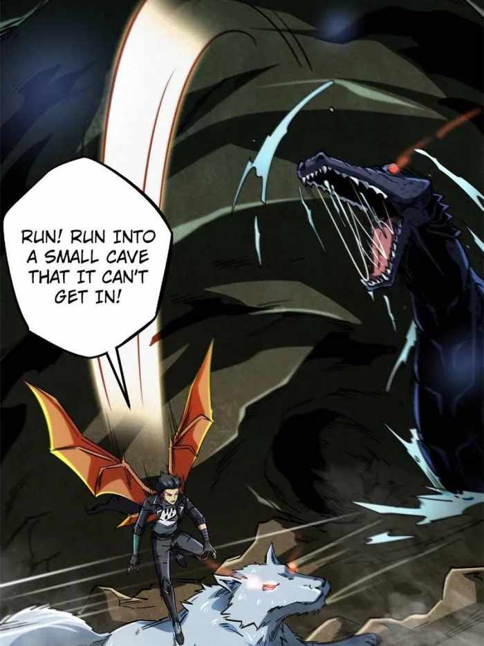 43