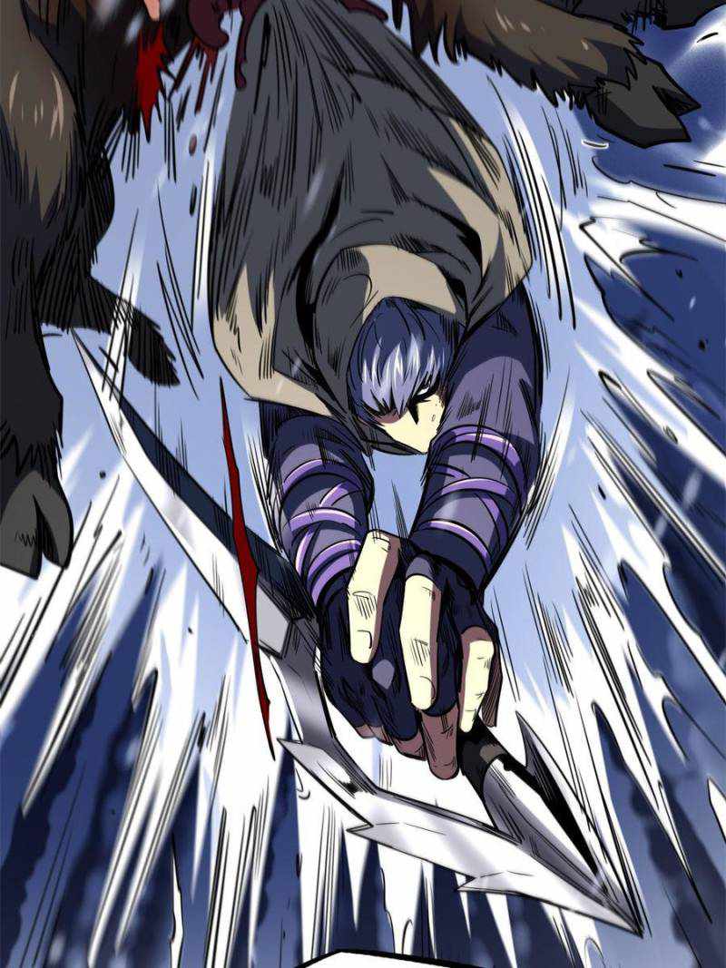 41